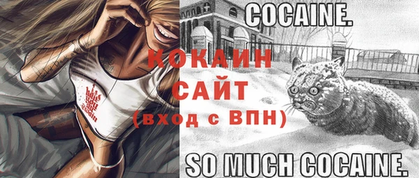 стаф Бугульма